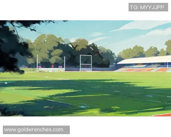 《全球足球巨星风采高清背景图精选展示》