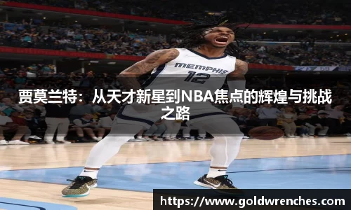 JJB竞技宝官网